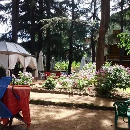 Hotel Magenta
