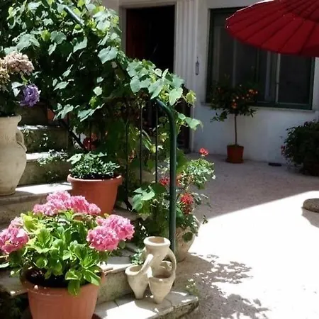 Magenta Casella (Liguria)